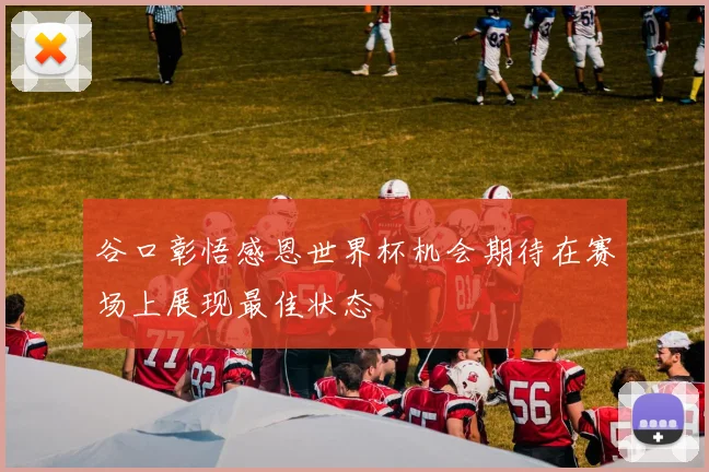 谷口彰悟感恩世界杯机会期待在赛场上展现最佳状态