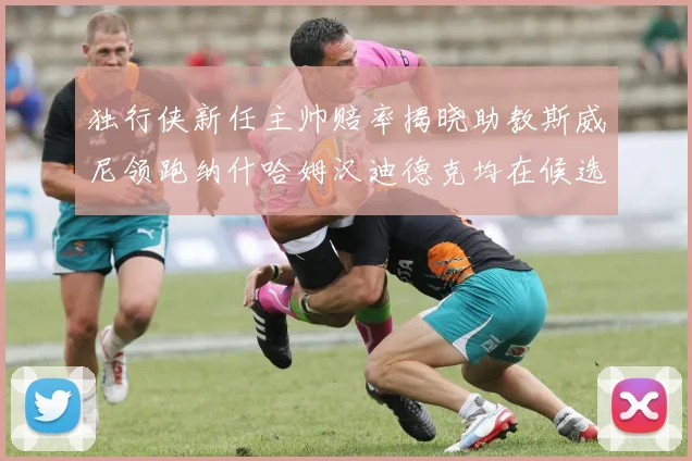 独行侠新任主帅赔率揭晓助教斯威尼领跑纳什哈姆汉迪德克均在候选之中