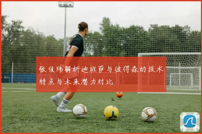 张佳玮解析迪班萨与彼得森的技术特点与未来潜力对比