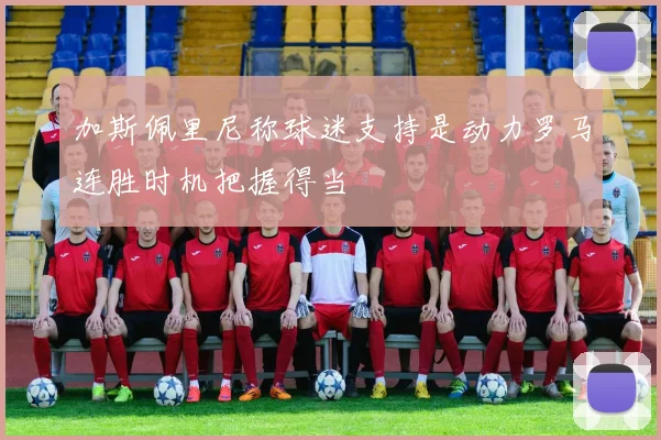 加斯佩里尼称球迷支持是动力罗马连胜时机把握得当