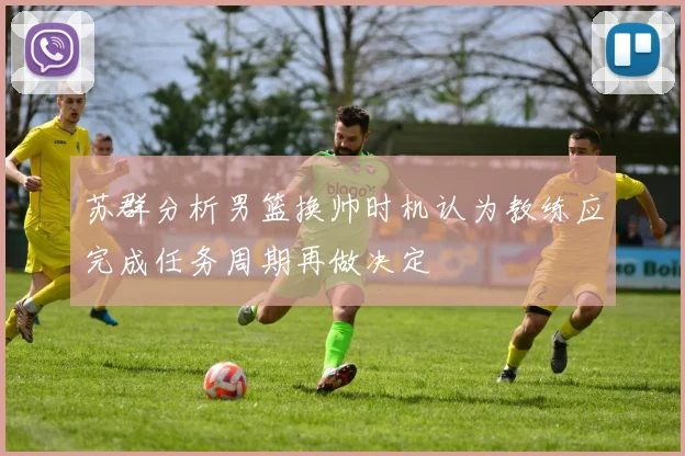 苏群分析男篮换帅时机认为教练应完成任务周期再做决定